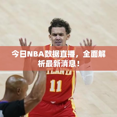 今日NBA数据直播，全面解析最新消息！