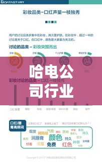 哈电公司行业地位与影响力解析，排名及影响力揭秘
