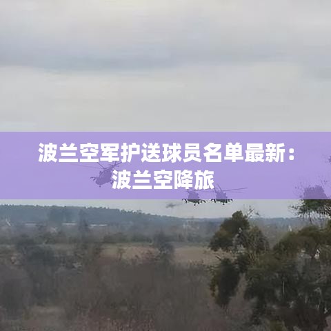 波兰空军护送球员名单最新：波兰空降旅 