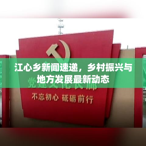 江心乡新闻速递，乡村振兴与地方发展最新动态