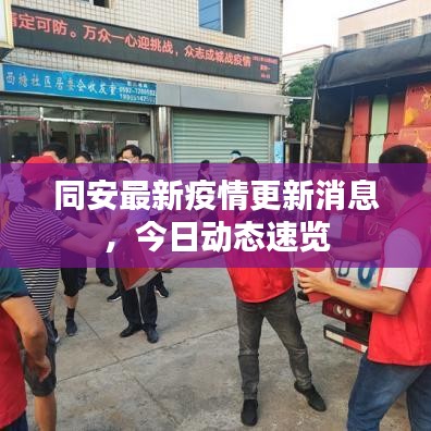 同安最新疫情更新消息，今日动态速览