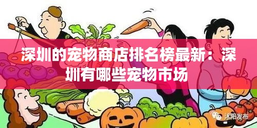 深圳的宠物商店排名榜最新：深圳有哪些宠物市场 