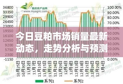 今日豆粕市场销量最新动态，走势分析与预测报告
