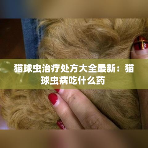 猫球虫治疗处方大全最新：猫球虫病吃什么药 