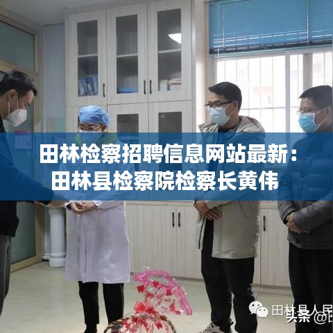 田林检察招聘信息网站最新：田林县检察院检察长黄伟 