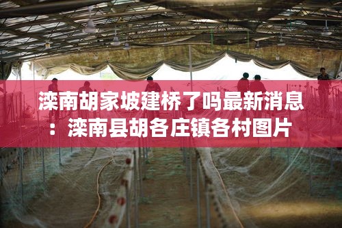 笼中之鸟 第2页