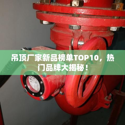 凤凰于飞 第2页