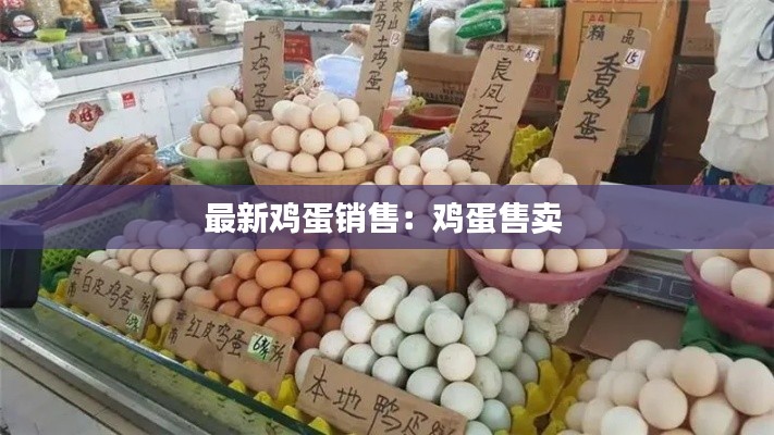最新鸡蛋销售：鸡蛋售卖 