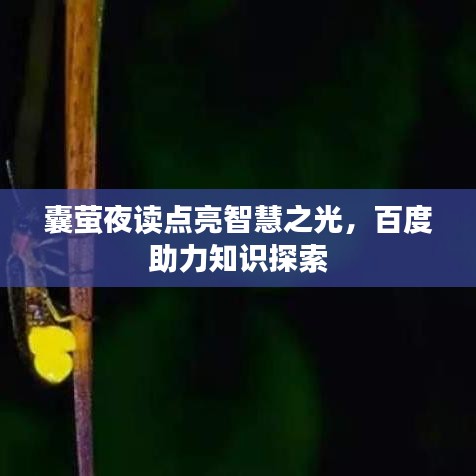 囊萤夜读点亮智慧之光，百度助力知识探索