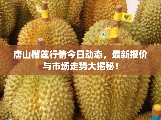 唐山榴莲行情今日动态，最新报价与市场走势大揭秘！