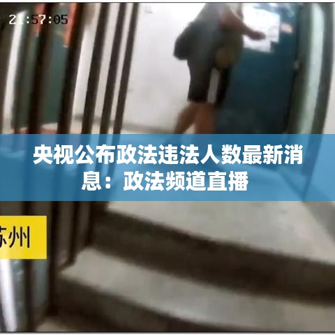 央视公布政法违法人数最新消息：政法频道直播 