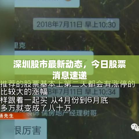 深圳股市最新动态，今日股票消息速递