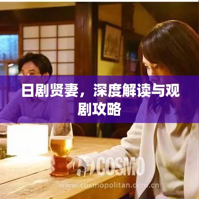 日剧贤妻，深度解读与观剧攻略