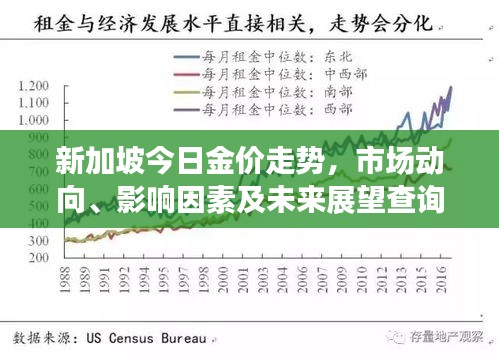 新加坡今日金价走势，市场动向、影响因素及未来展望查询