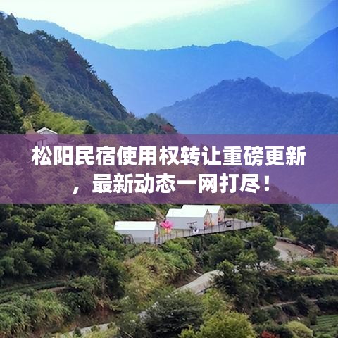 松阳民宿使用权转让重磅更新，最新动态一网打尽！