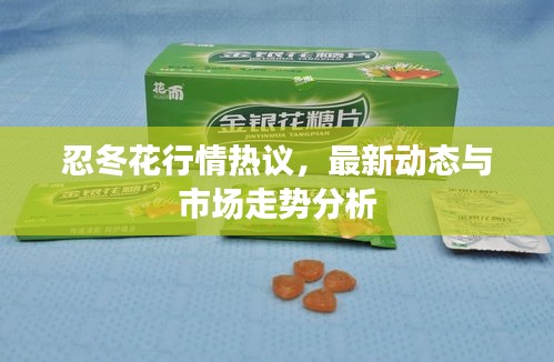 忍冬花行情热议，最新动态与市场走势分析