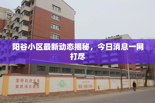 阳谷小区最新动态揭秘，今日消息一网打尽