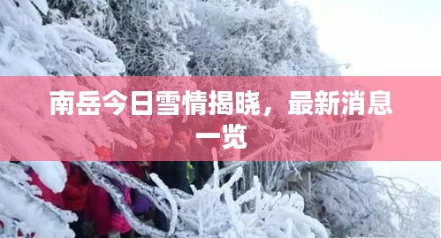 南岳今日雪情揭晓，最新消息一览