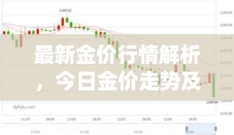 最新金价行情解析，今日金价走势及消息一览