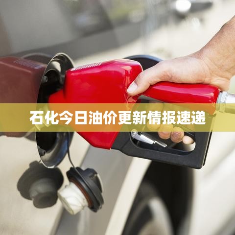 石化今日油价更新情报速递