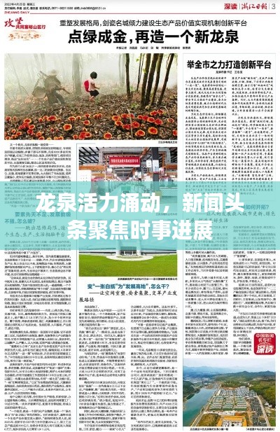 龙泉活力涌动，新闻头条聚焦时事进展