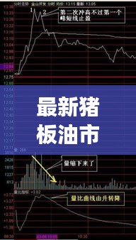 最新猪板油市场走势分析，行业趋势、价格变动一网打尽！