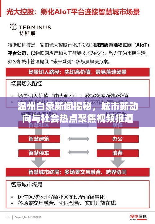 温州白象新闻揭秘，城市新动向与社会热点聚焦视频报道
