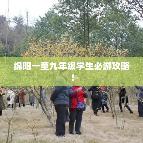百不得一 第2页