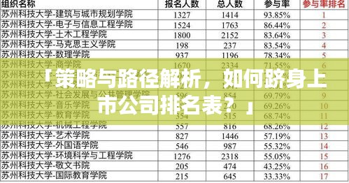 「策略与路径解析，如何跻身上市公司排名表？」