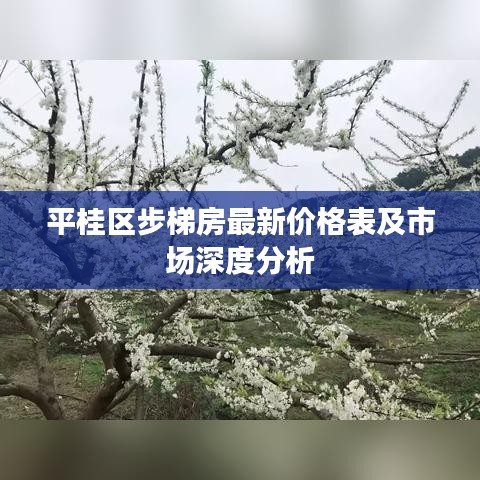 平桂区步梯房最新价格表及市场深度分析