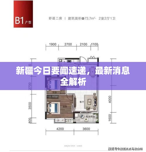 新疆今日要闻速递，最新消息全解析