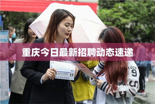 重庆今日最新招聘动态速递