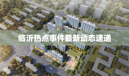 临沂热点事件最新动态速递