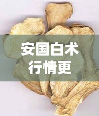 安国白术行情更新，今日价格大揭秘！