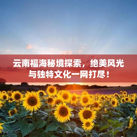 云南福海秘境探索，绝美风光与独特文化一网打尽！