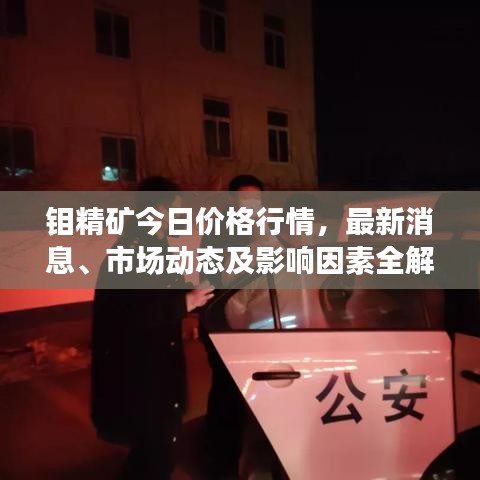 钼精矿今日价格行情，最新消息、市场动态及影响因素全解析