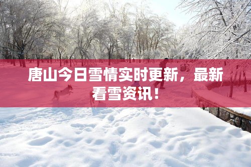 水浄鹅飞 第2页