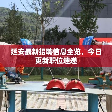 延安最新招聘信息全览，今日更新职位速递