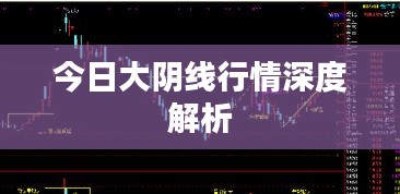 今日大阴线行情深度解析