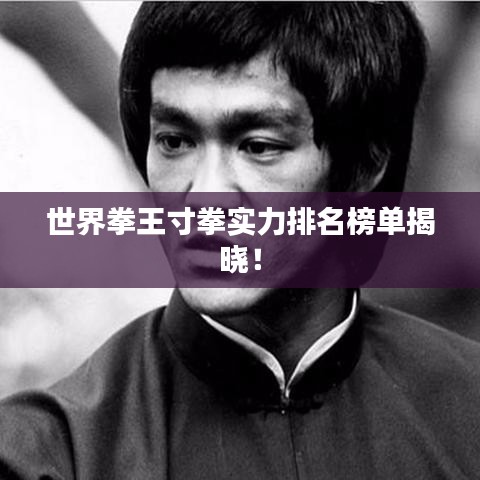 世界拳王寸拳实力排名榜单揭晓！