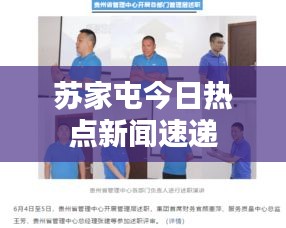 苏家屯今日热点新闻速递