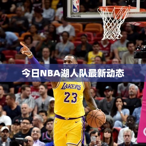今日NBA湖人队最新动态
