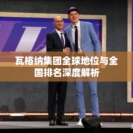 瓦格纳集团全球地位与全国排名深度解析