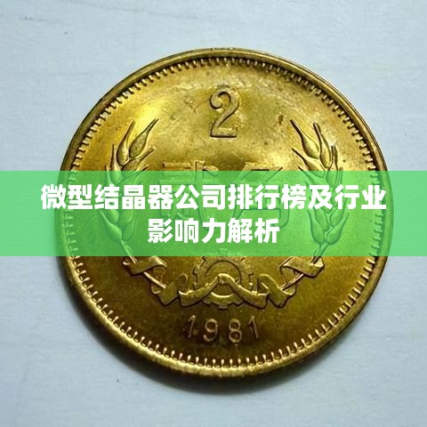 微型结晶器公司排行榜及行业影响力解析