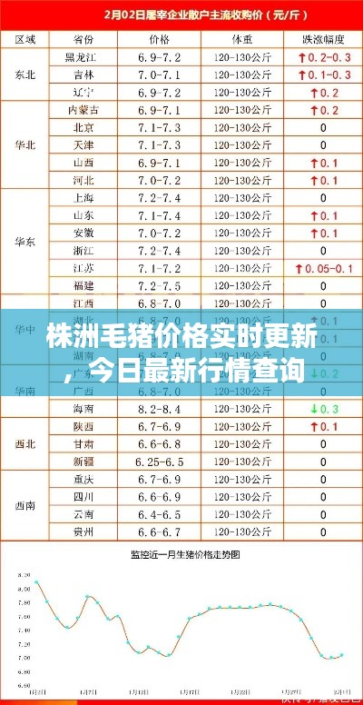 株洲毛猪价格实时更新，今日最新行情查询