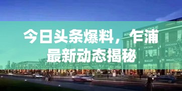 今日头条爆料，乍浦最新动态揭秘