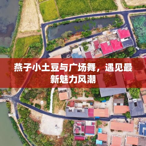 燕子小土豆与广场舞，遇见最新魅力风潮