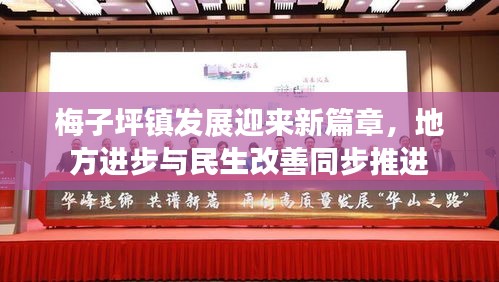 梅子坪镇发展迎来新篇章，地方进步与民生改善同步推进
