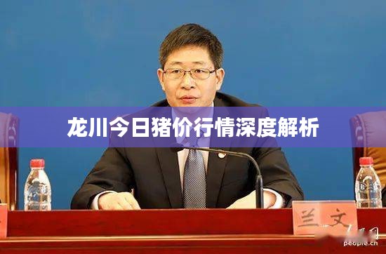 龙川今日猪价行情深度解析