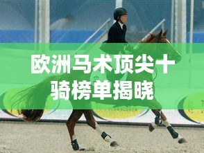 雍容雅步 第2页